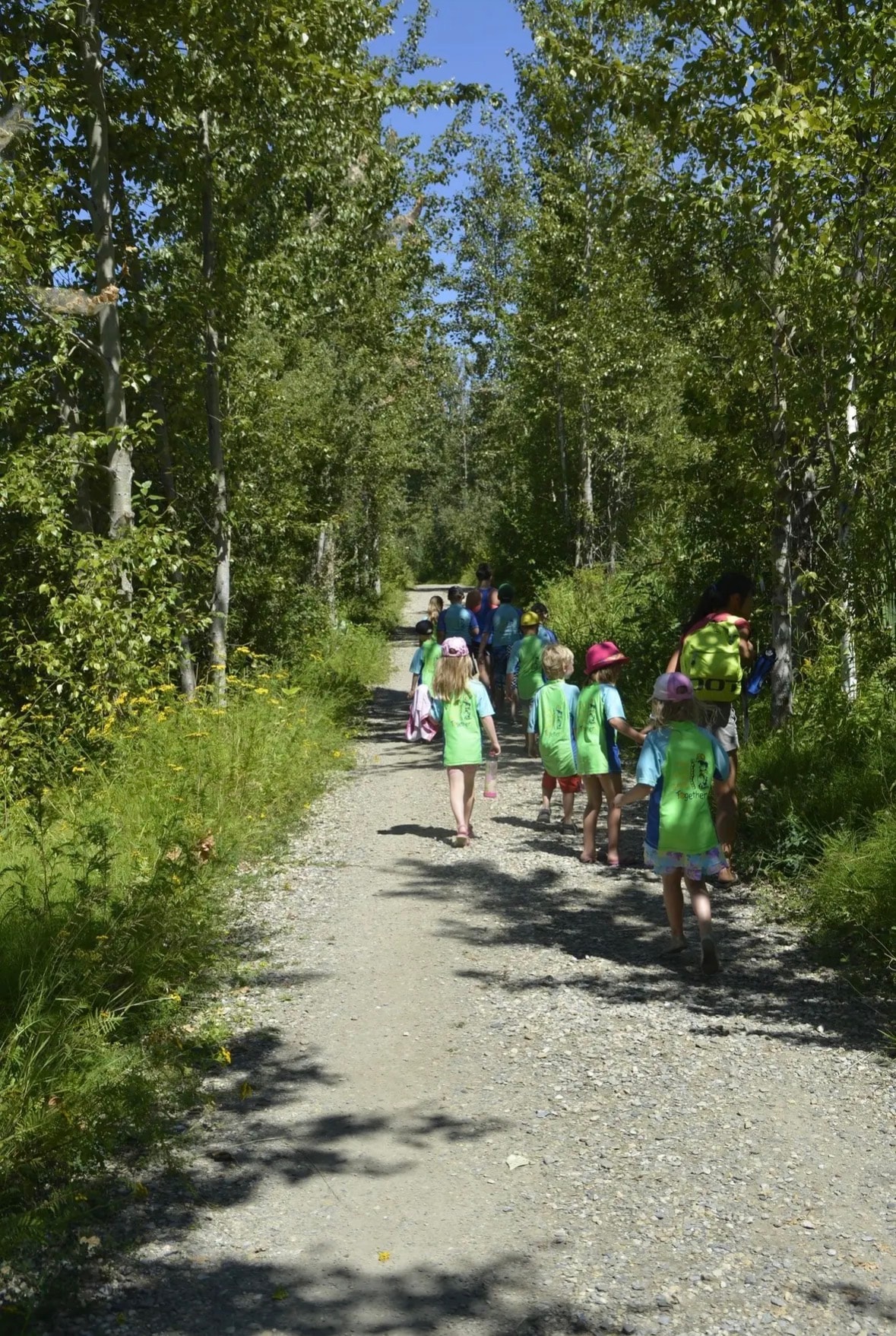 Discovery Kids Club children walking along a forest trail on an outing